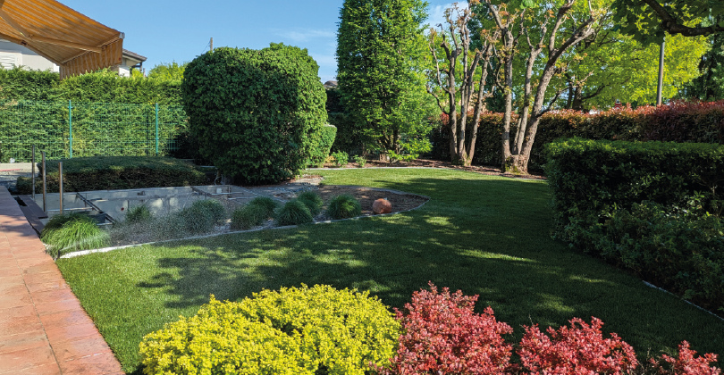 vanoschi-manutezione-del-verde-005